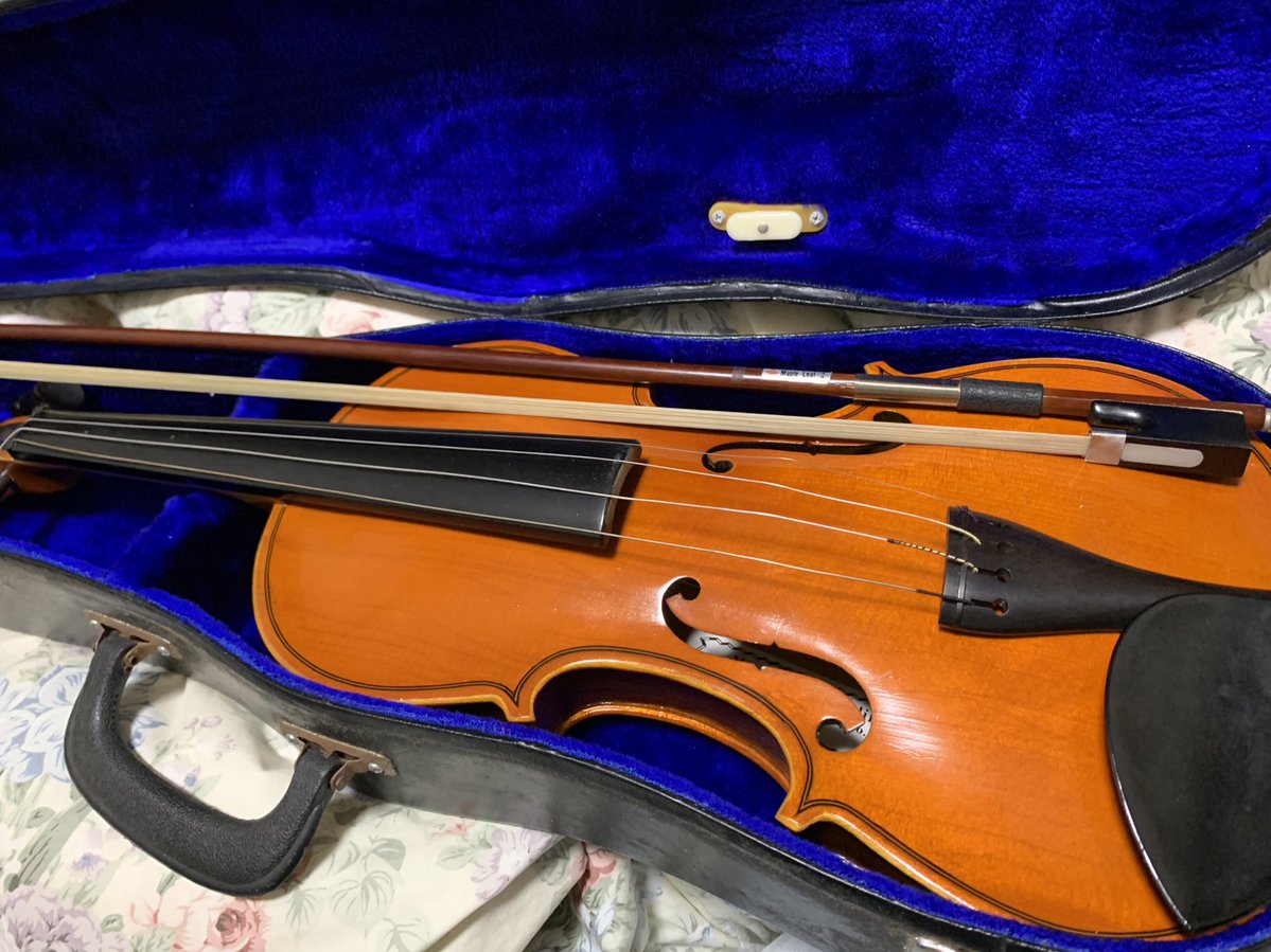 ちょっと本当に何言ってるのか分かんないと思うんだけど、昨晩ベロベロに酔っていた自分がノリで買ったと思われるヴァイオリン届いて今どうしていいか分かんなくて大泣きしてる 