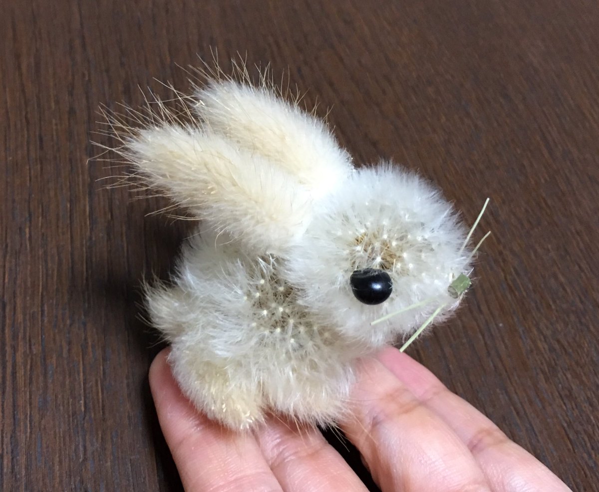 タンポポの綿毛とラグラスでウサギを作りました🐇 『ラグラス』は野うさぎの尻尾の意味だそうです