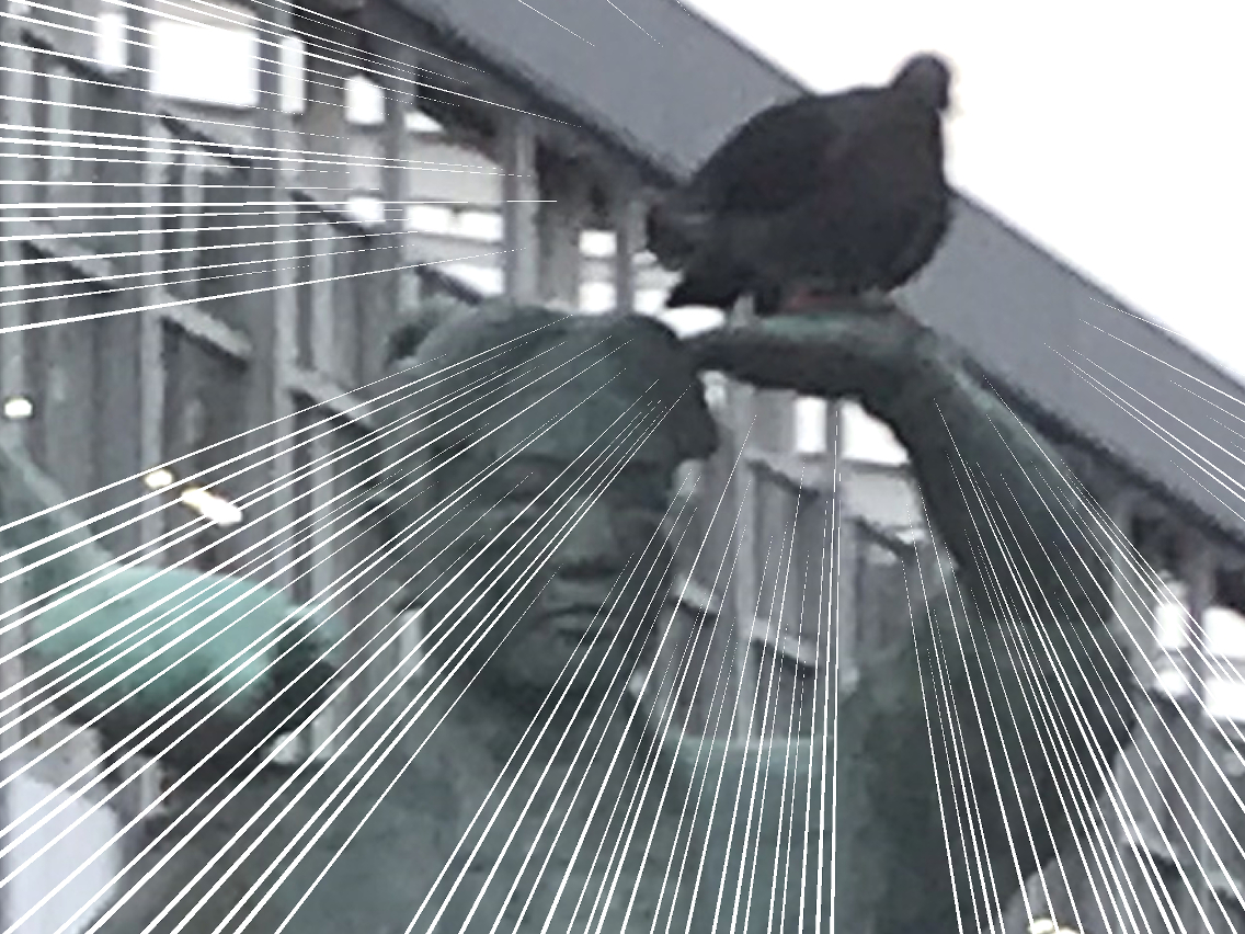 なんでキジ２羽連れてんだよと思ったらハトで草 