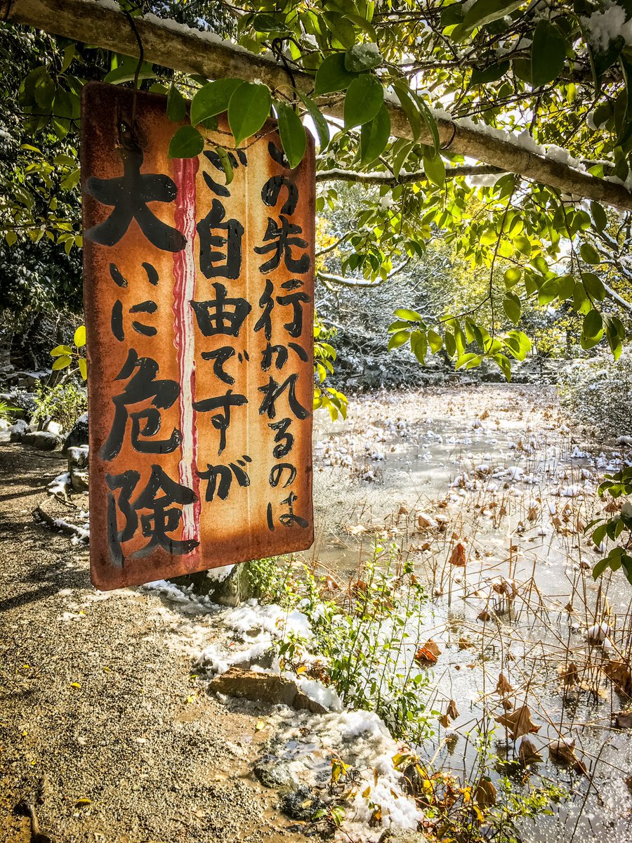 めっちゃ怖い道あった 