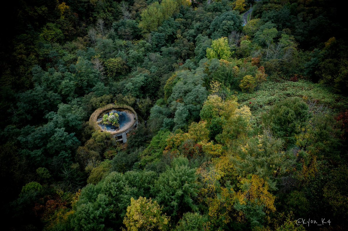  一階部分は浸水しており中に入るのは困難