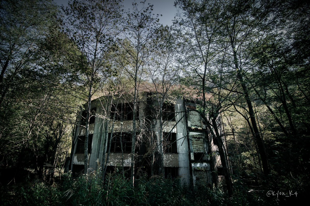  一階部分は浸水しており中に入るのは困難