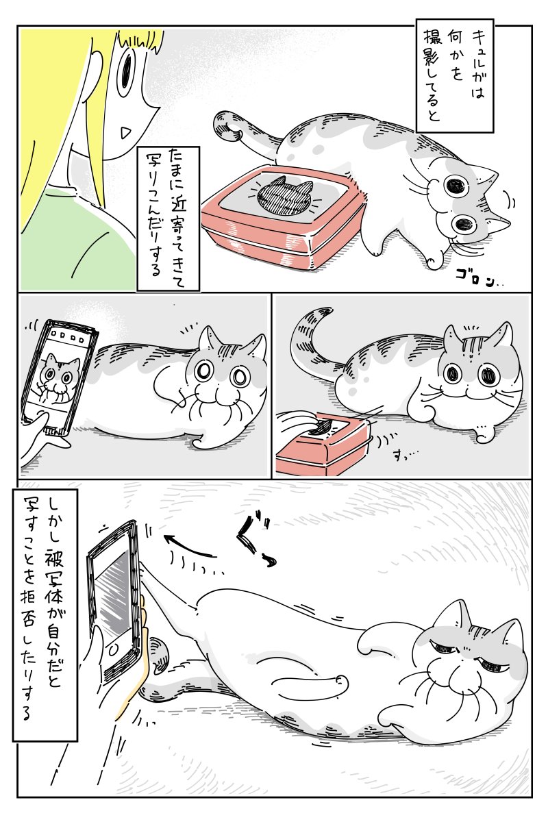 さりげなく写りたい  