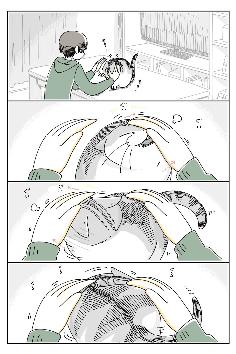 グイグイくるネコ  