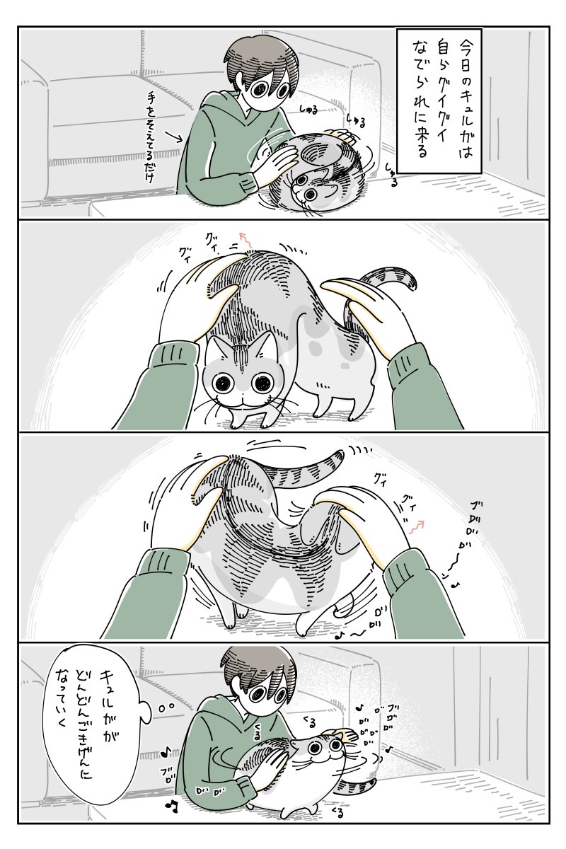 グイグイくるネコ  