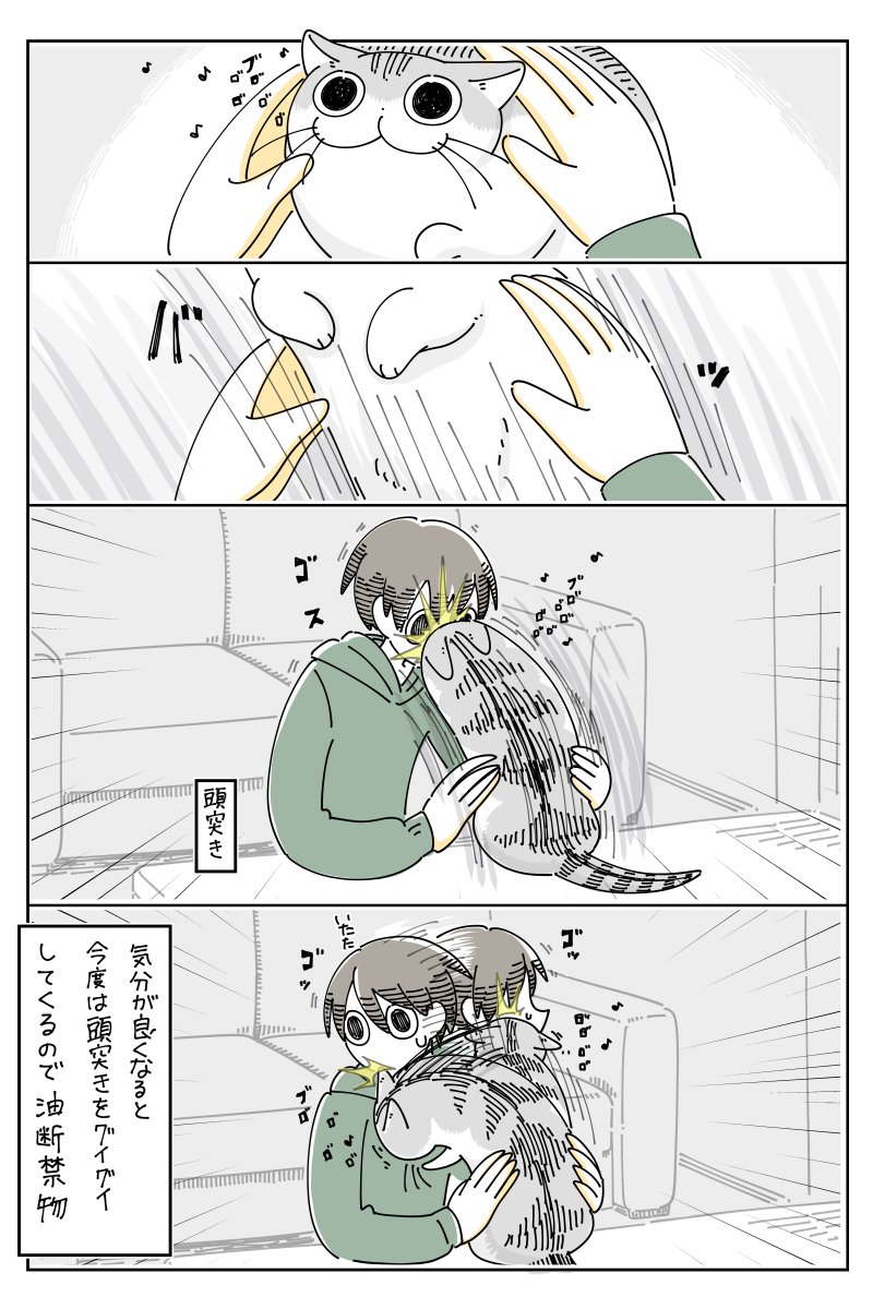 グイグイくるネコ  