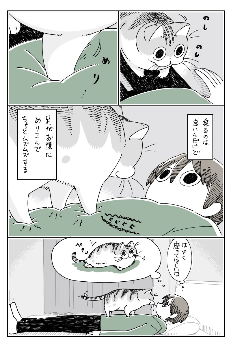お腹の上に乗るネコ  
