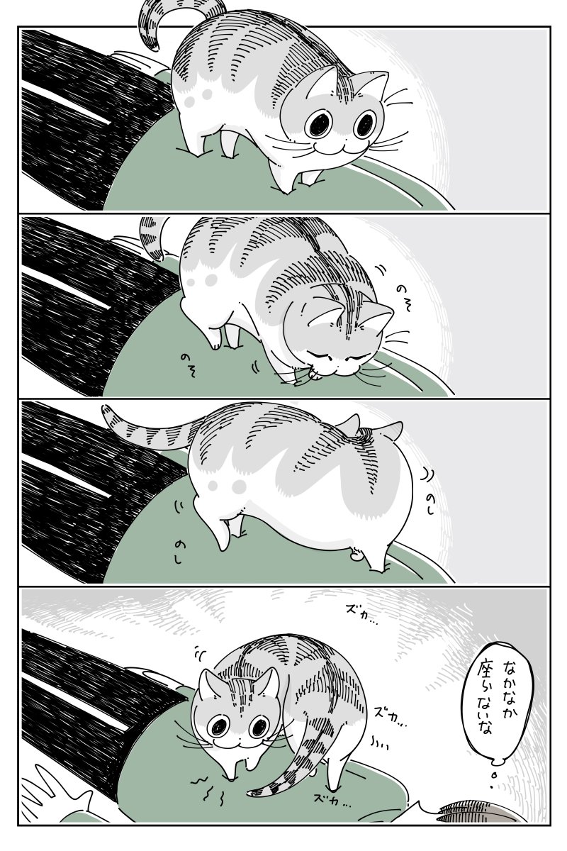 お腹の上に乗るネコ  