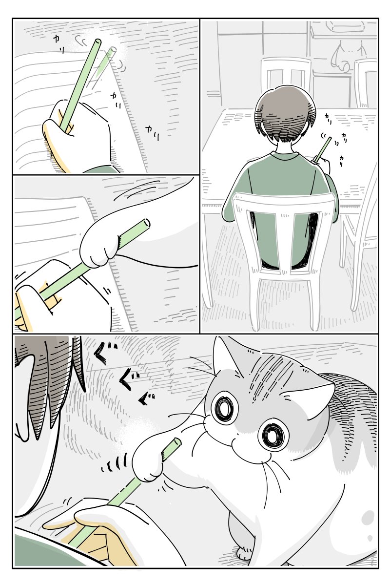 器用におじゃま  