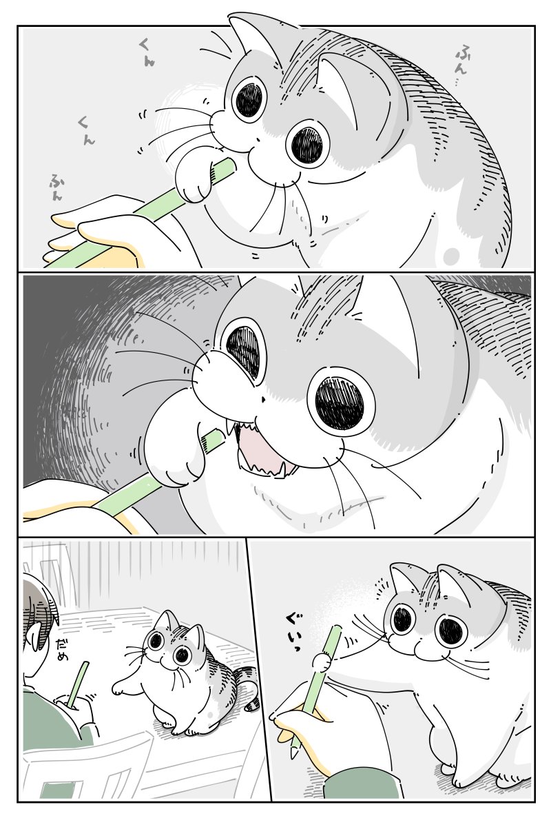 器用におじゃま  