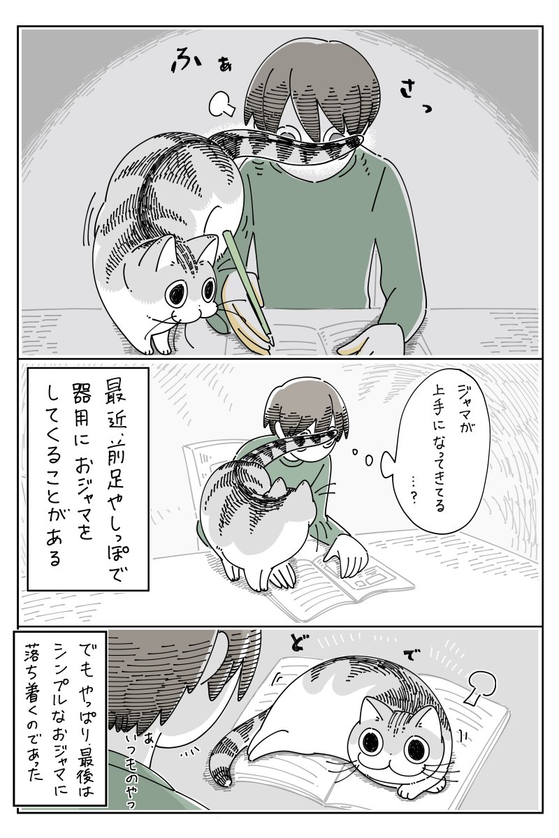 器用におじゃま