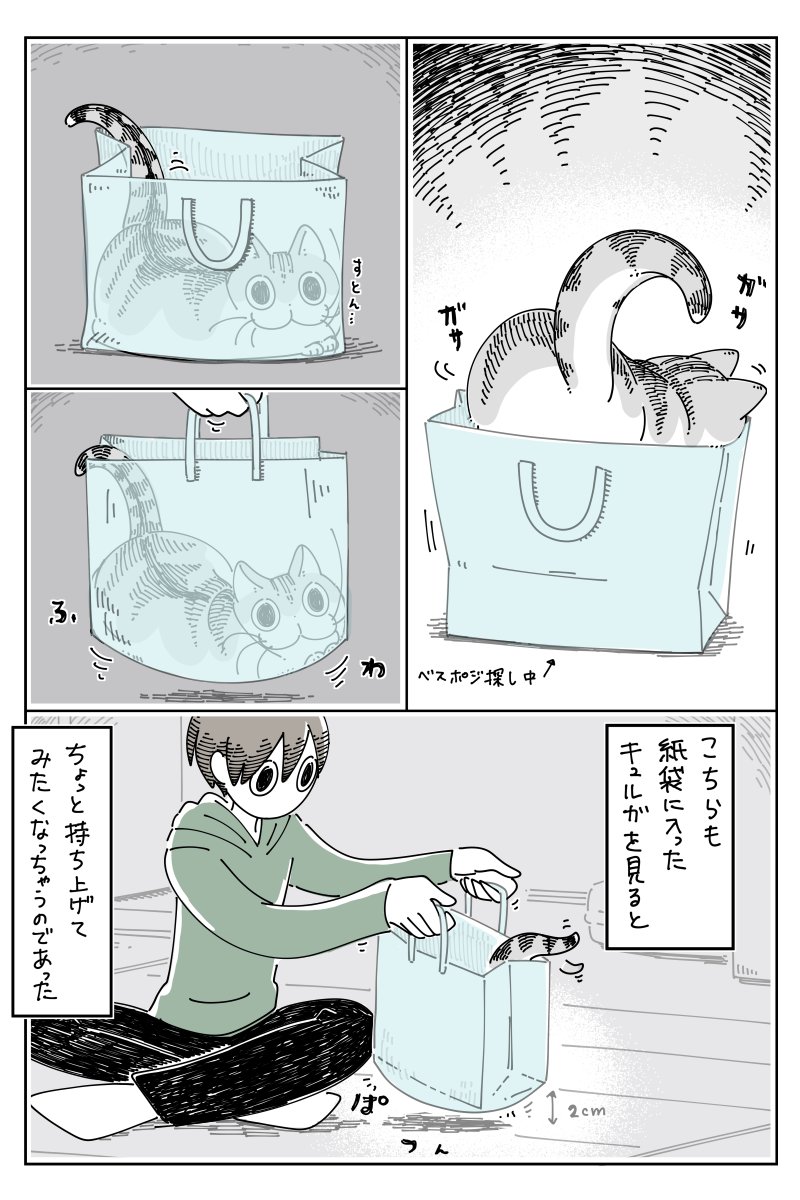 紙袋を見るとつい