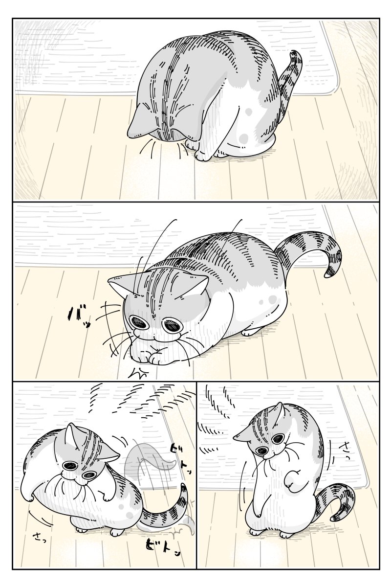 捕まえたかったらしい  