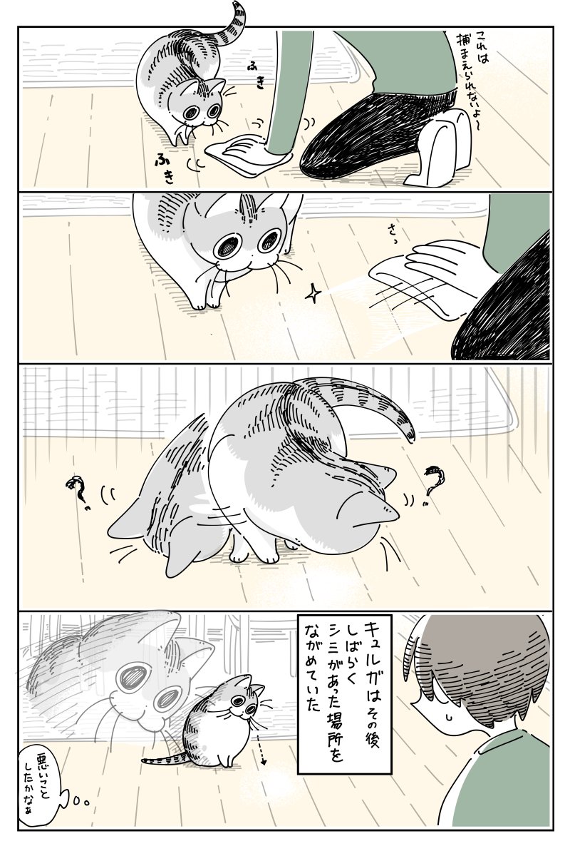 捕まえたかったらしい  