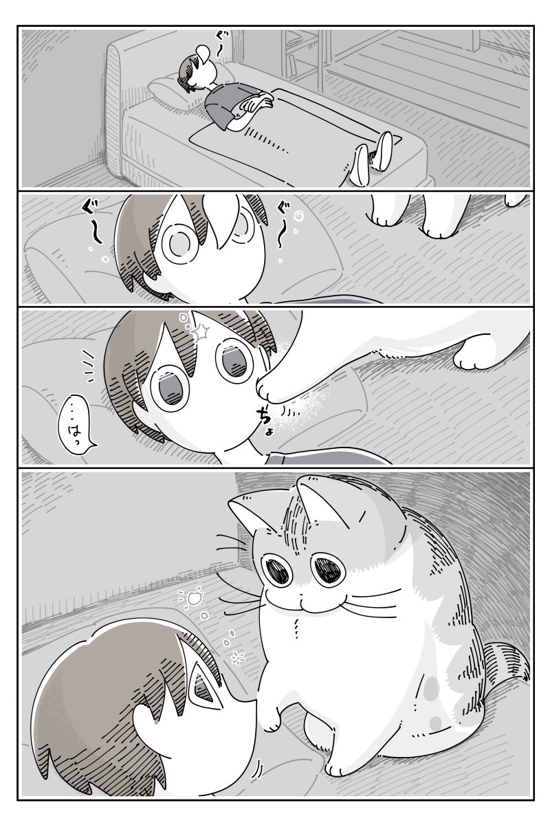 ネコが起こしに来た  