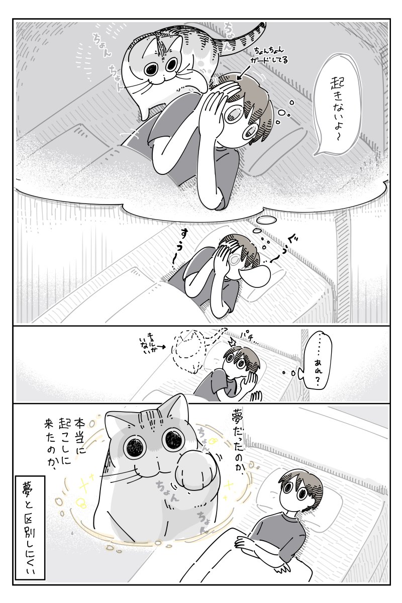 ネコが起こしに来た