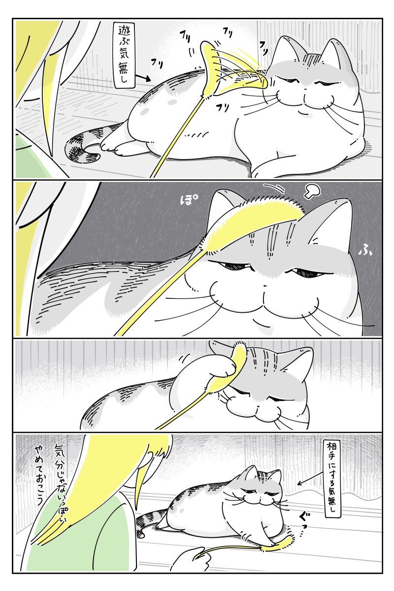 遊ぶ気分じゃないらしい  