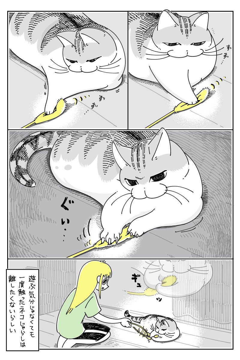 遊ぶ気分じゃないらしい  