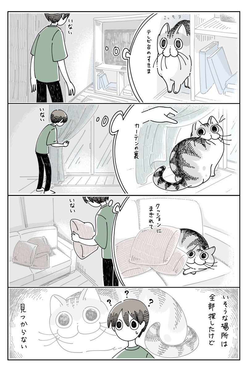 ネコがどこにも見当たらない  