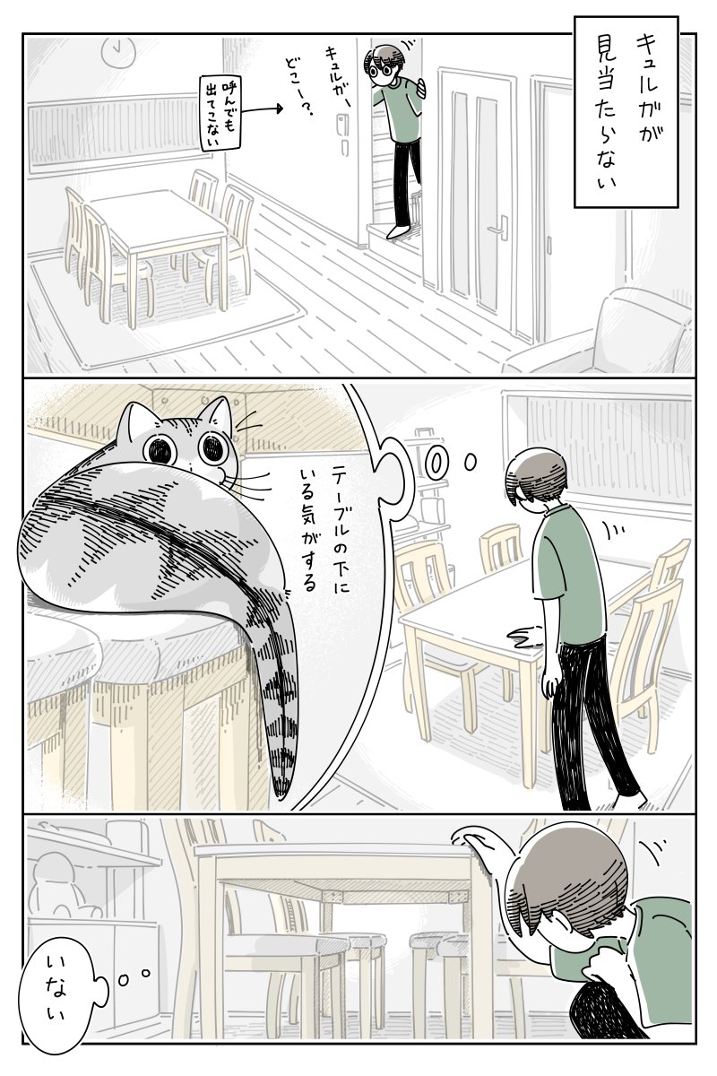 ネコがどこにも見当たらない  