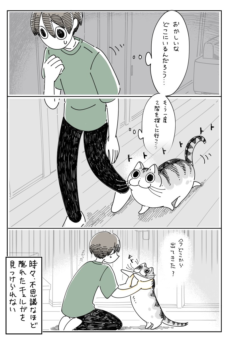 ネコがどこにも見当たらない