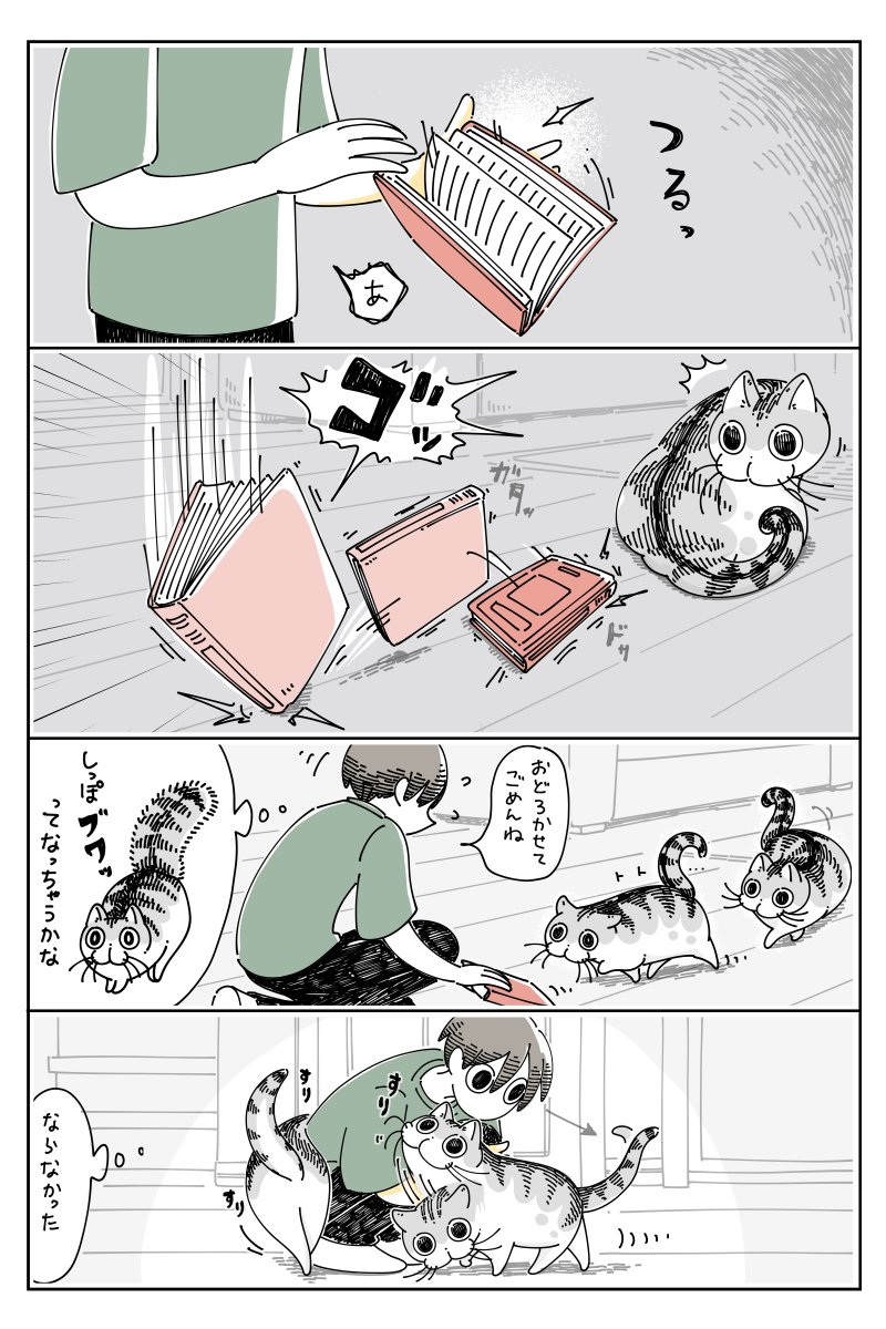 しっぽが膨らむ瞬間  