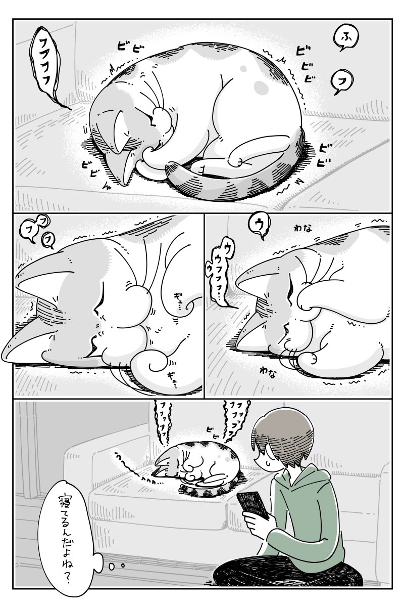 爆睡するネコ  