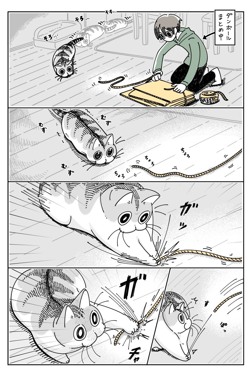 紐にじゃれるネコ  