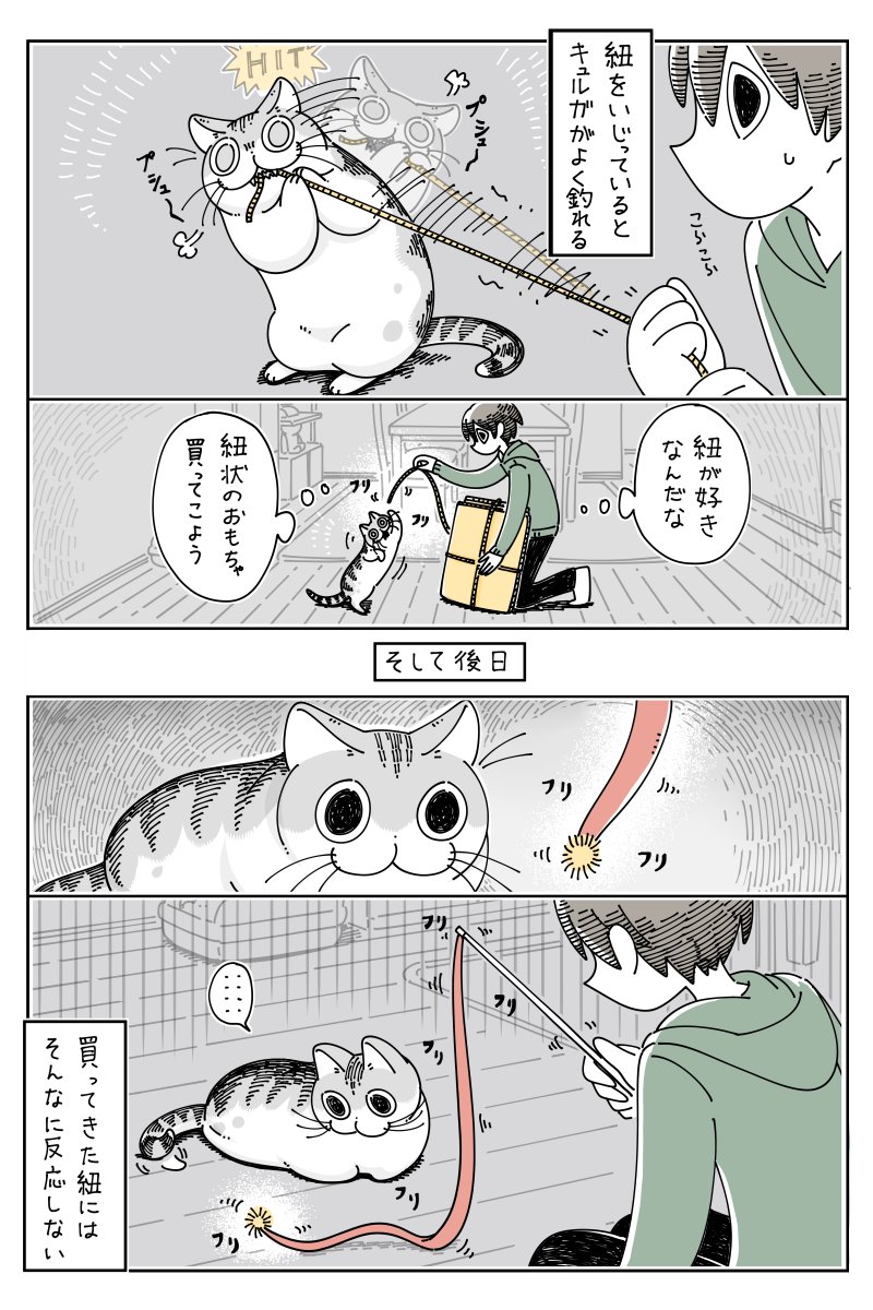 紐にじゃれるネコ  