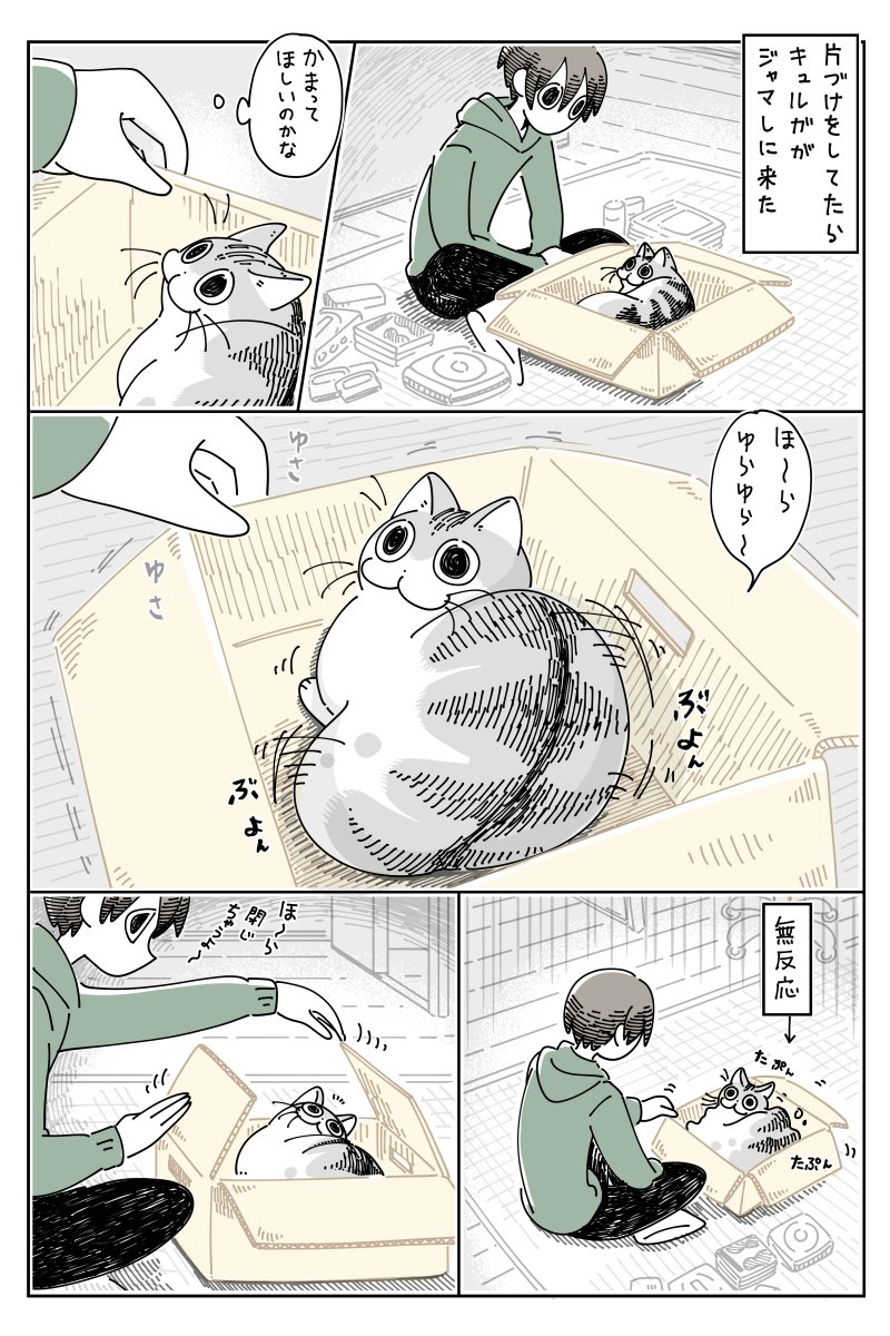 邪魔しにきたネコ  