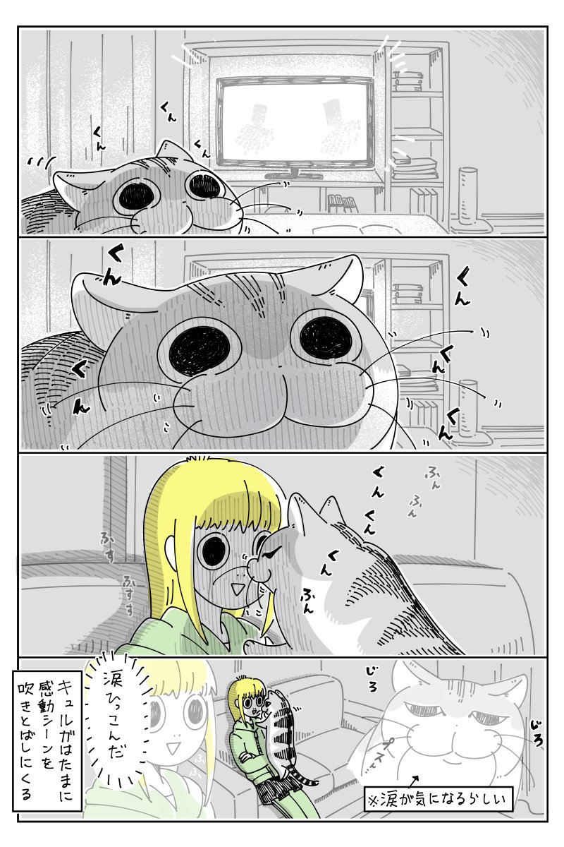 感動シーンに寄ってくるネコ