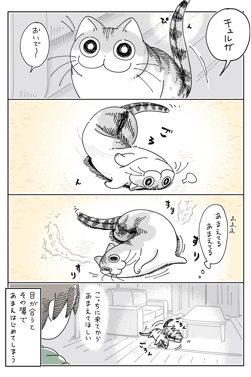 遠くの方であまえるネコ  