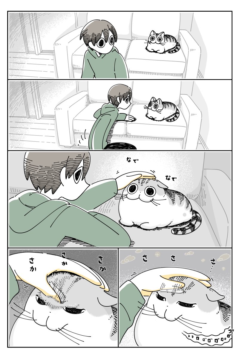 ネコのおでこの毛  