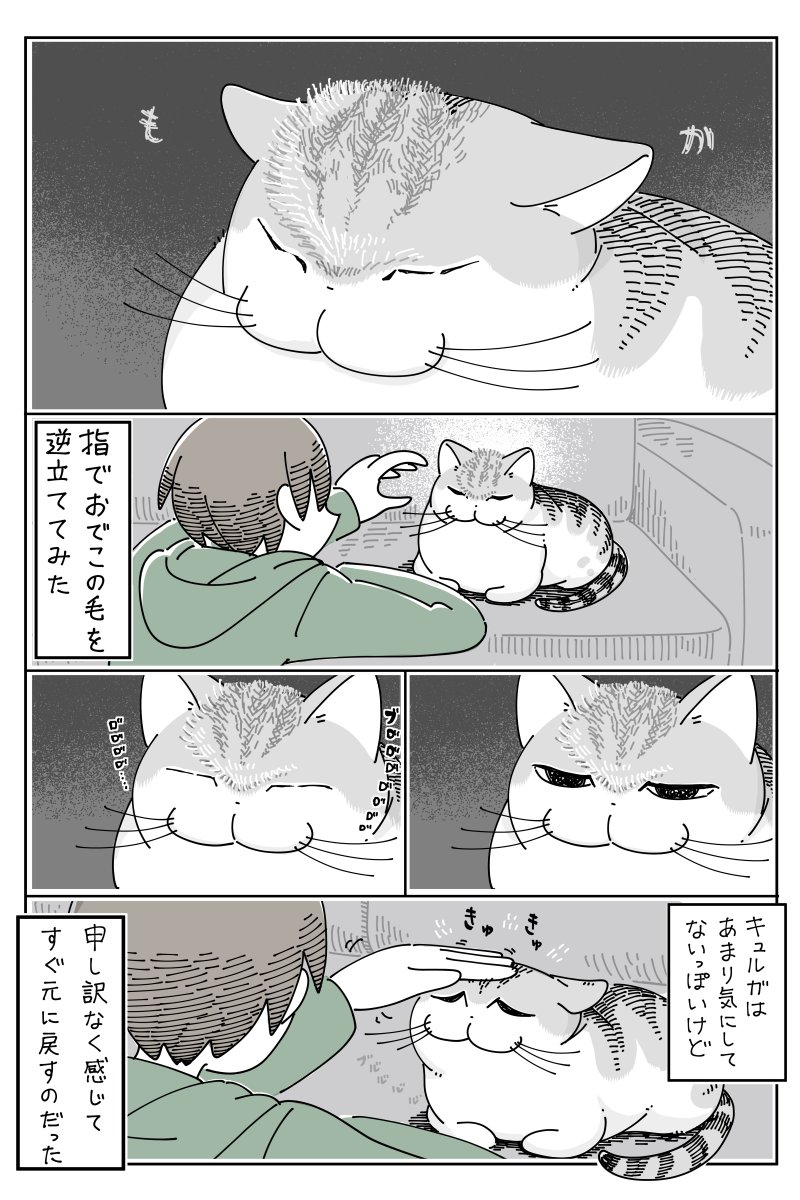 ネコのおでこの毛