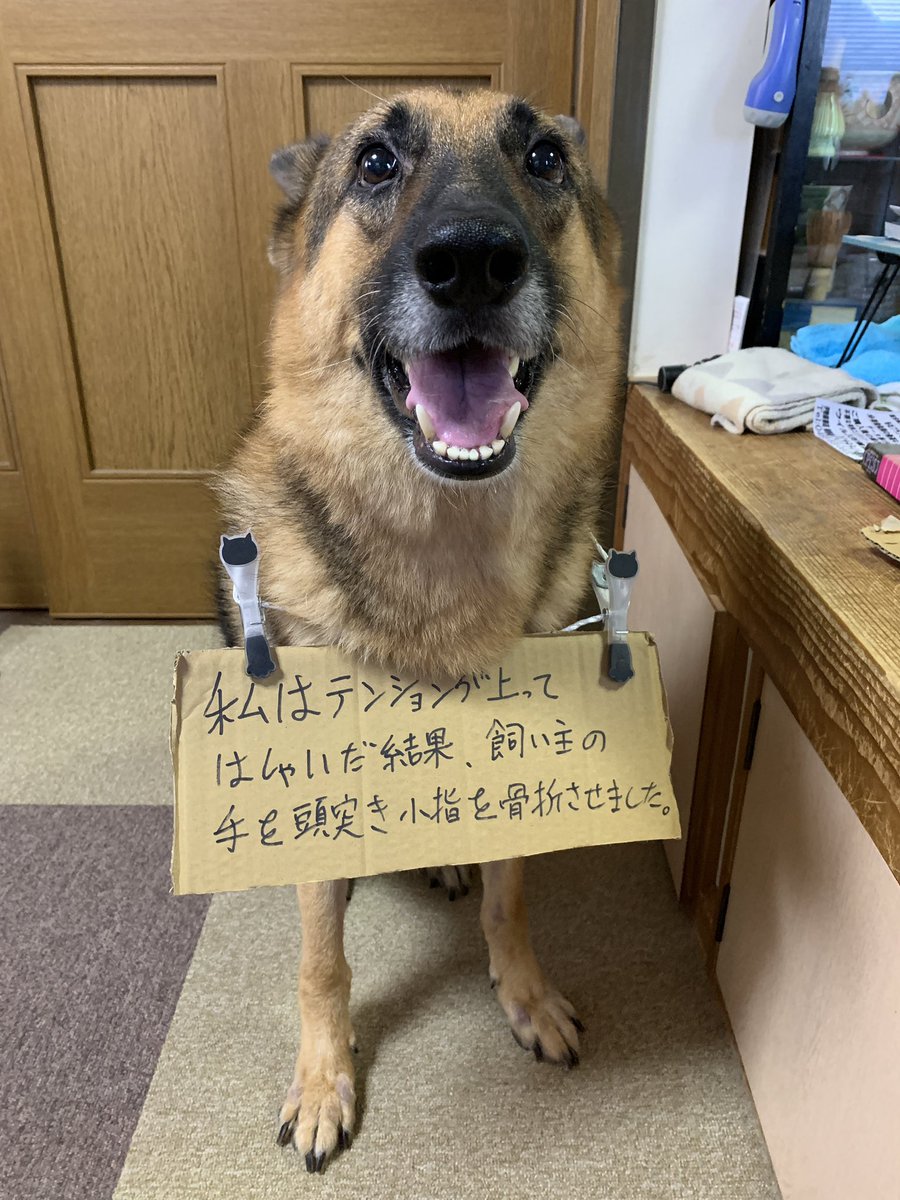 やらかしたのでケジメ