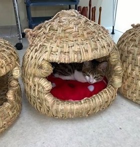 手作りの少量生産で予約待ちが出るほどの大人気だという