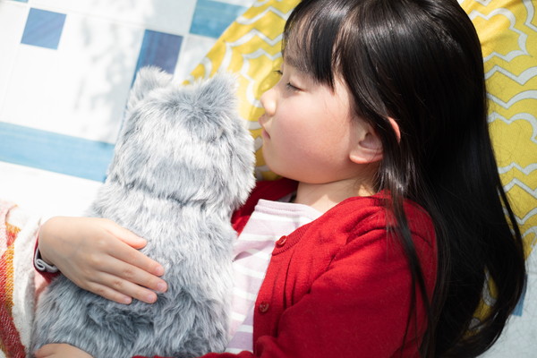 【にゃ～】“ほぼ猫”のようなネコ型クッション登場