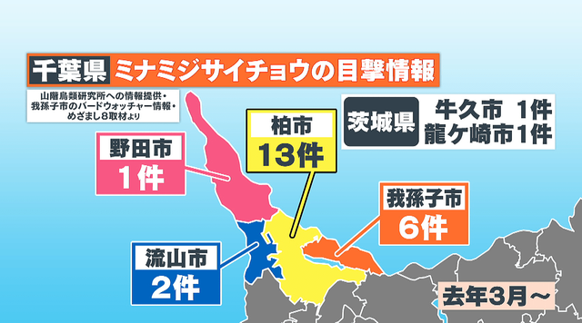 飼われていた個体の可能性があり、無責任な飼育に注意が呼びかけられている