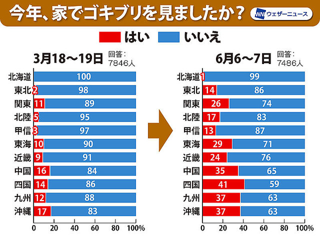 【ホウ酸団子など】毒餌剤はかえってゴキブリをおびき寄せてしまう