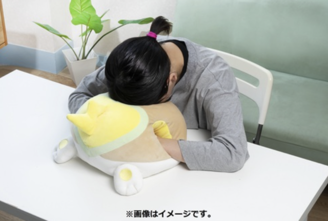 ポケモンセンターオンラインにて販売がスタートしている