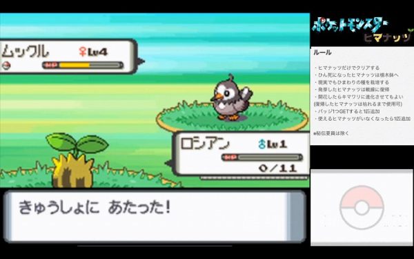 殿堂入りを目指すが、初回から2匹が植木鉢送りとなった