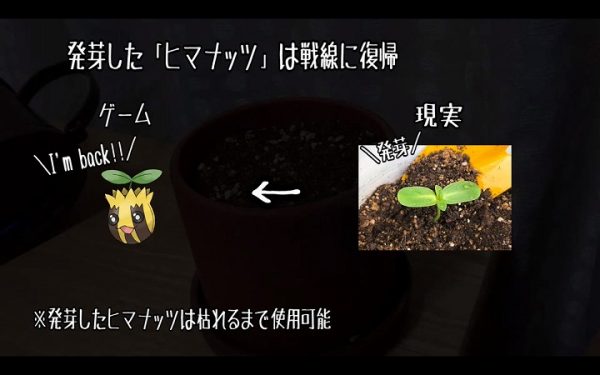 殿堂入りを目指すが、初回から2匹が植木鉢送りとなった