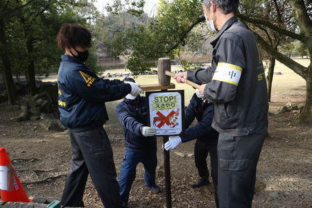 シカの主食は草や枯れ葉などで、本来餌は与えないという