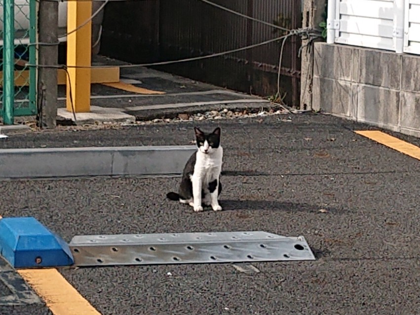 と言うので、急いで駆けつけたら、俺の手には負えない状況だった