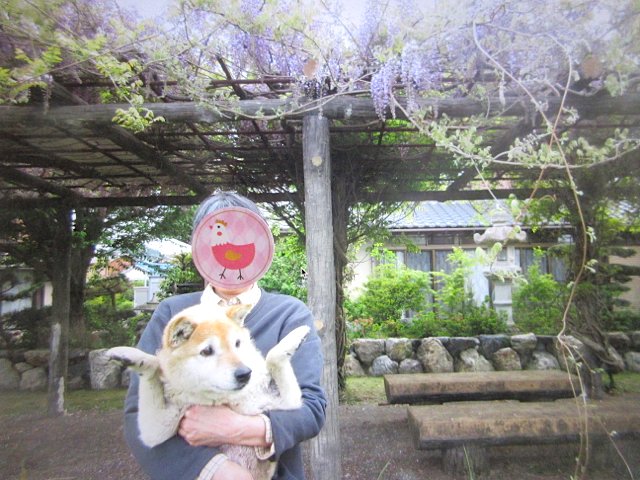 抱き慣れてない飼い主と　抱かれ慣れてない飼い犬♪ 