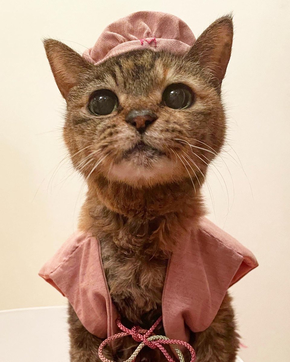 無事に21歳を迎えることができました😭 人間で言うと100歳