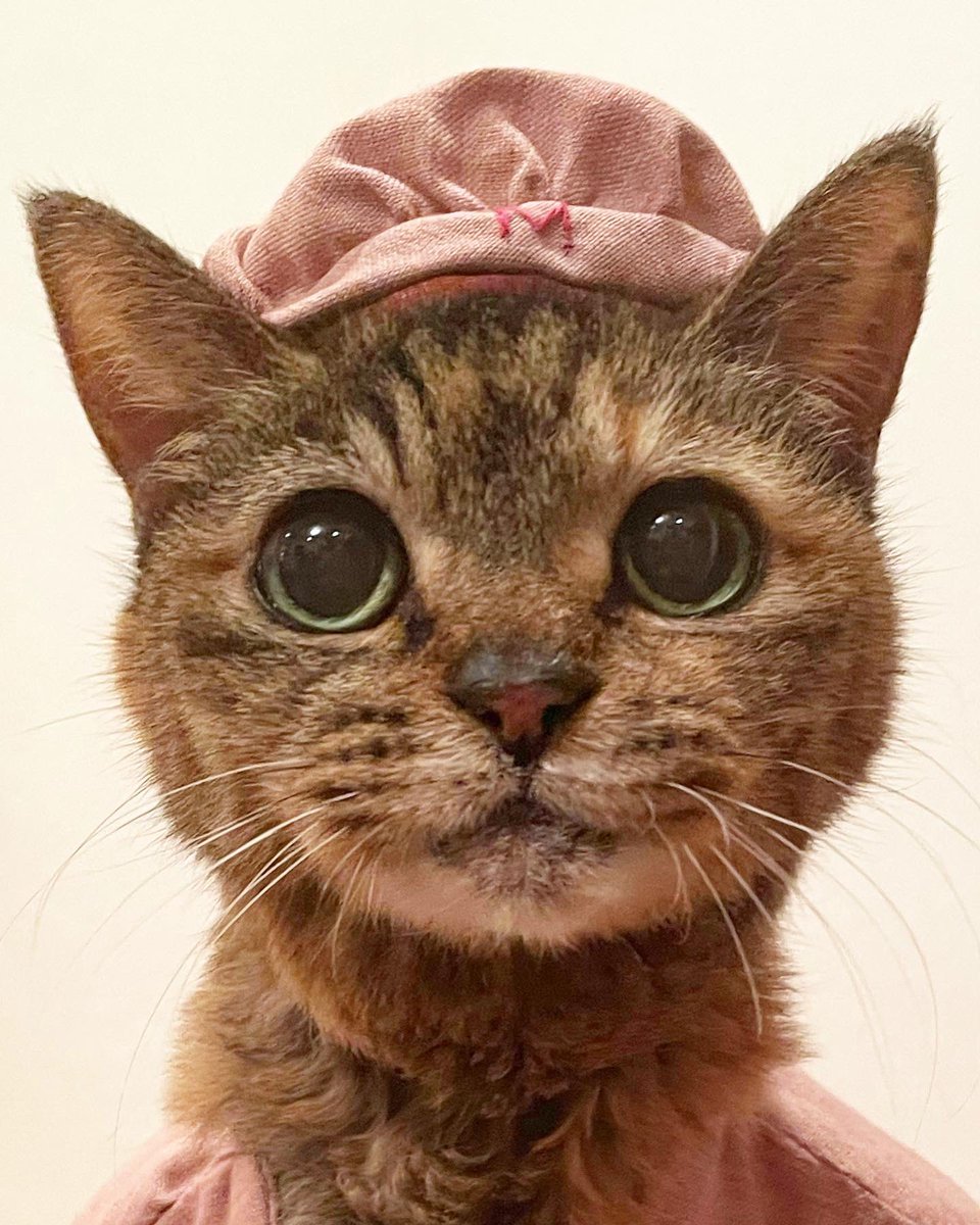 無事に21歳を迎えることができました😭 人間で言うと100歳