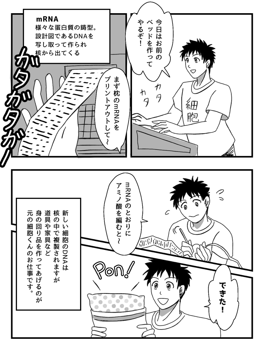 ファイザー社製の新型コロナワクチン「コミナティ」の接種対象が12歳まで引き下げられたので、mRNAワクチンについて小６・中学生にもわかってもらいたく「はたらく細胞」の二次創作で説明してみた