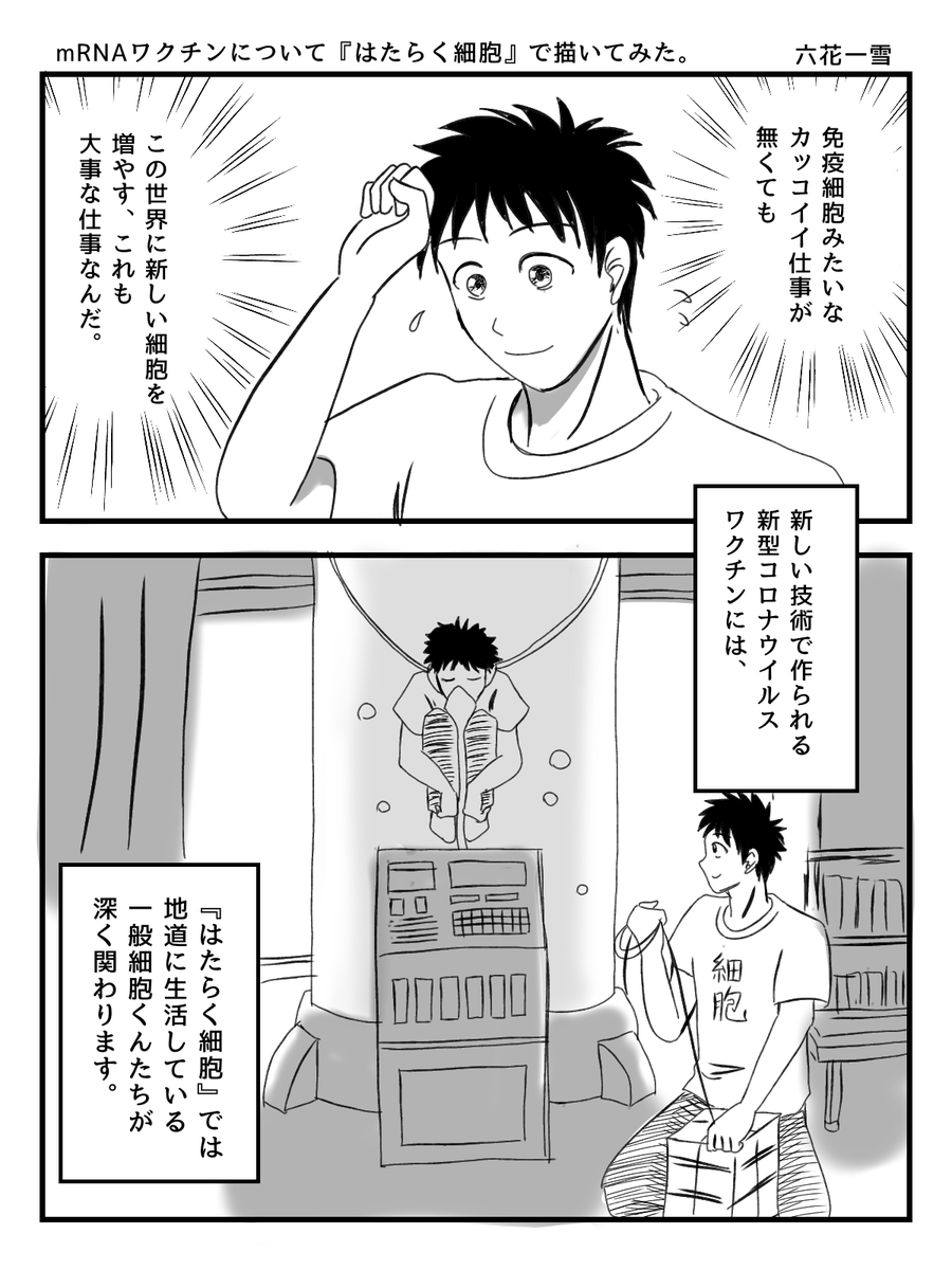 ファイザー社製の新型コロナワクチン「コミナティ」の接種対象が12歳まで引き下げられたので、mRNAワクチンについて小６・中学生にもわかってもらいたく「はたらく細胞」の二次創作で説明してみた