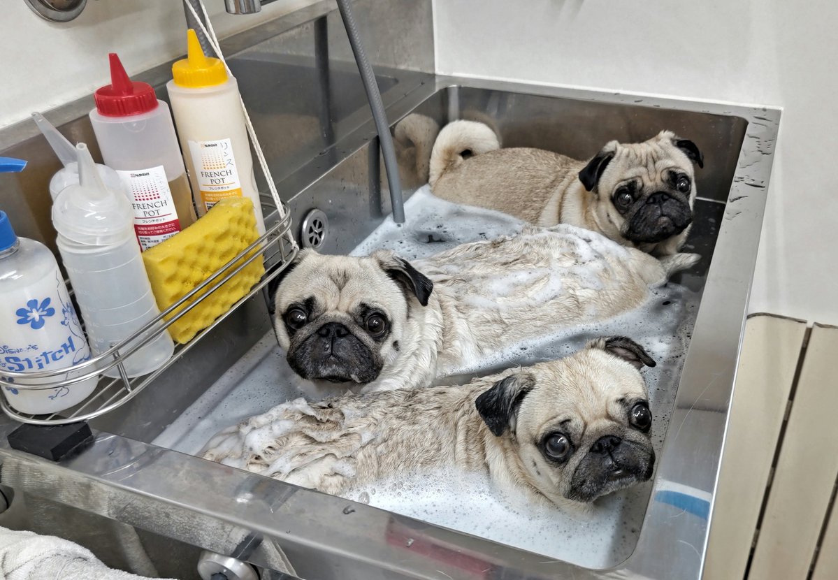 まとめ洗い まとめ乾燥 